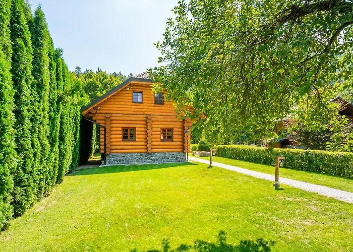 In With Sauna
